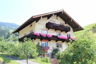 Schöne Wohnung in Hopfgarten im Brixental,...