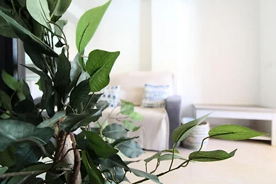 Appartement in Canet bij Racó de Mar