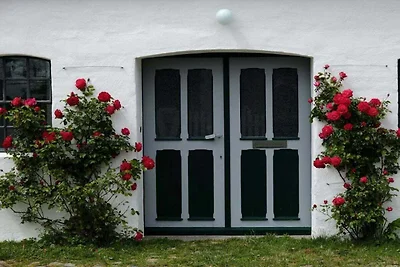 Vakantiehuis Mühle Catharina