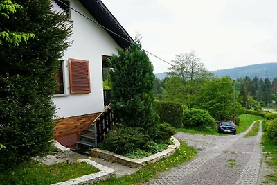 Vakantiehuis in Gießübel met wifi