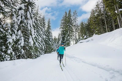 Chalet in Österreich nahe Gondel & Natur