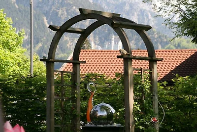 Braun mit Schlossblick