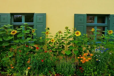 Ferienwohnung mit 1 Schlafzimmer