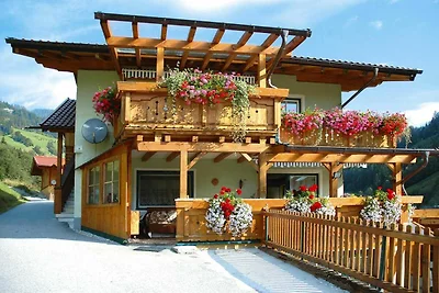 Appartements Joe, Großarl