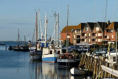 Ferienwohnung direkt am Hafen in Fehmarn-Orth