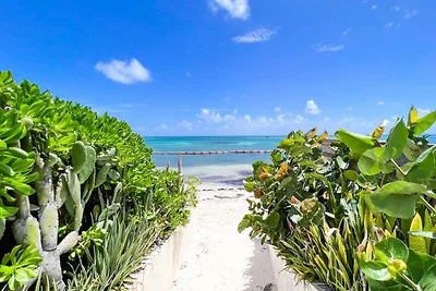 Villa a Saint-François con spiaggia lagunare