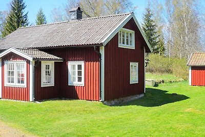 6 persoons vakantie huis in TINGSRYD