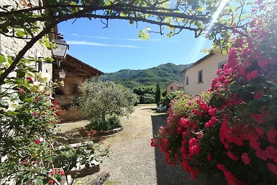 Ferienhaus in San Godenzo mit Pool