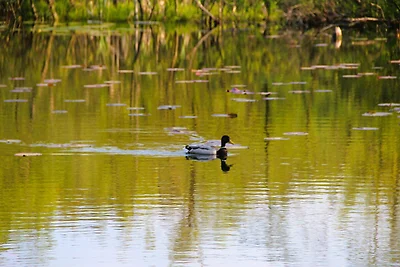 Ferienhaus in Kolczewo am Seezugang