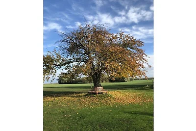Historisches Bauernhaus 1840