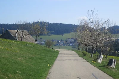Ferienwohnung in Breitnau mit Wifi