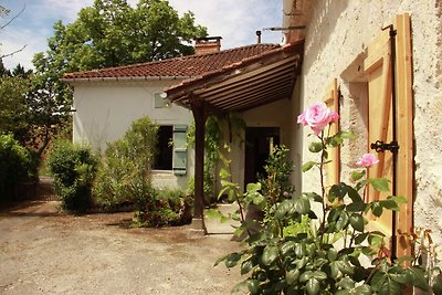Wunderschönes Herrenhaus in Bourg-De-Visa mit...