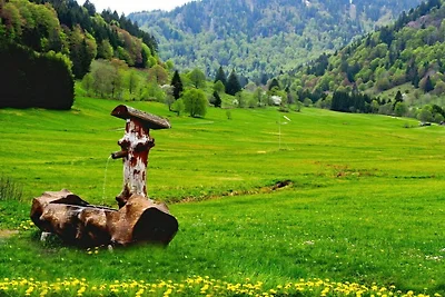 Ferienwohnung mit 1 Schlafzimmer