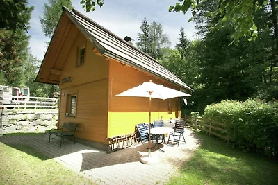 Ferienhaus in Skigebiet von Bad...