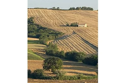 Casale Antonella