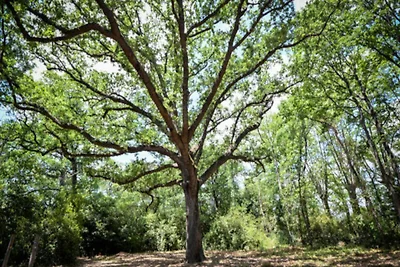 3 kamer appartement voor 5 personen