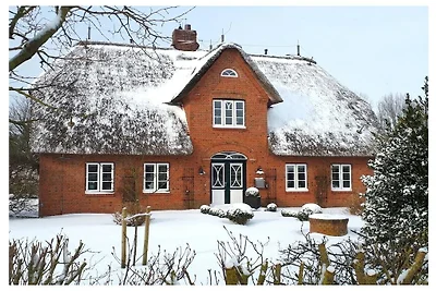 Objekt 29 || Nieblum