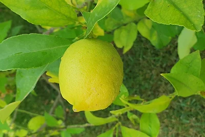 Kuća za odmor Dopust za oporavak Bardolino
