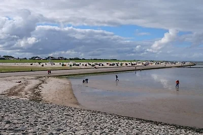 Deichtraum 50 m zum Strand Meer