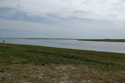 4 Sterne Ferienhaus in Læsø