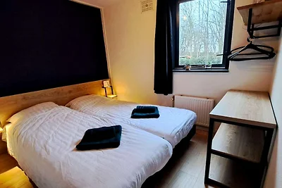 Erhöhtes Ewijk-Ferienhaus für 6 Pers.