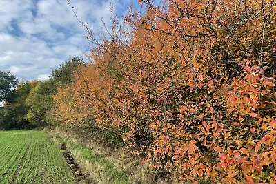 Ostsee Baumhaushotel