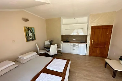 One Bedroom Apartment N