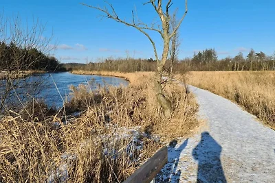 6 Personen Ferienhaus in Fårvang