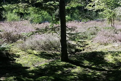 4 sterren vakantie huis in Ålbæk