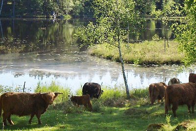 4 Personen Ferienhaus in TVING