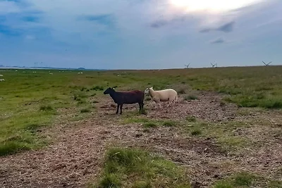 4 persoons vakantie huis in Bramming-By Traum