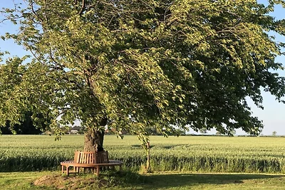 Historisches Bauernhaus 1840