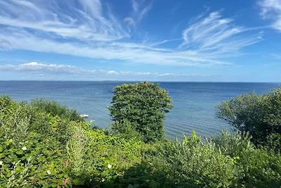 4 Sterne Ferienhaus in Hejls