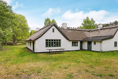 9 persoons vakantie huis in Vig-By Traum