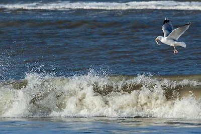 Ferienwohnung in Juist mit Schwimmbecken