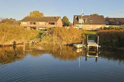 Waterküken am Bootssteg