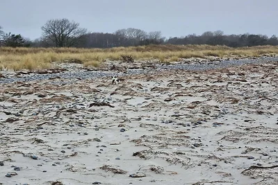 Ruhige Oase in Ulvshale -- By Traum...