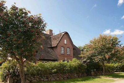 Ferienhaus Objekt 51 "Backbord"