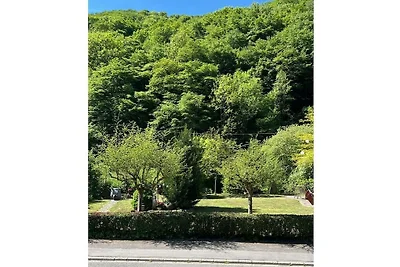 Appartamento per le vacanze a Moselkern con...