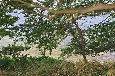 4 Personen Ferienhaus in Vordingborg-By Traum