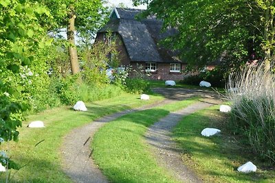 Reetdachkate Sillenserwisch