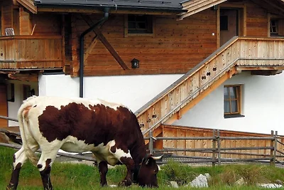 Chalet in Hochkrimml voor 8 personen