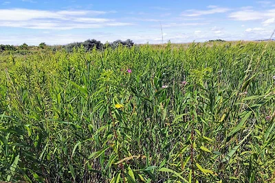 3 Personen Ferienhaus in Karrebæksminde-By...