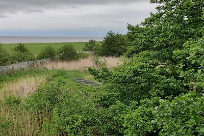 4 Personen Ferienhaus in Fanø-By Traum