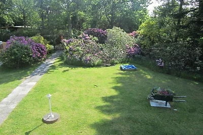 Maison de vacances à Aurich avec piscine