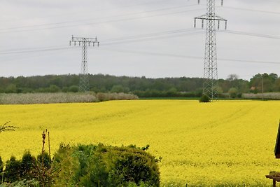 Appartamento a Neu Lüdershagen con terrazza