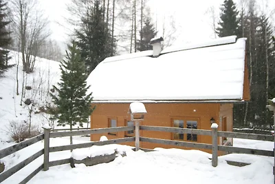 Ferienhaus in Skigebiet von Bad...