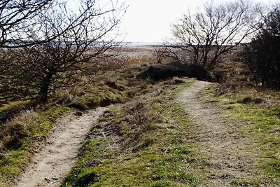 4 Personen Ferienhaus in Hals-By Traum