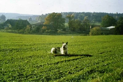 Vakantieappartement in Nahrendorf met...