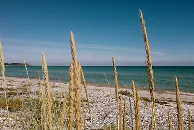 4 Personen Ferienhaus in Ebeltoft-By Traum